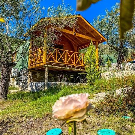Отель Kazdaglari Saglikli Yasam Koeyue Эдремит Экстерьер фото